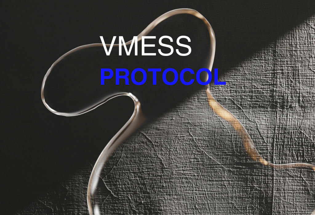 vmess protocol یکی از بهترین روش‌های ساخته کانفیگ در پنل v2ray است